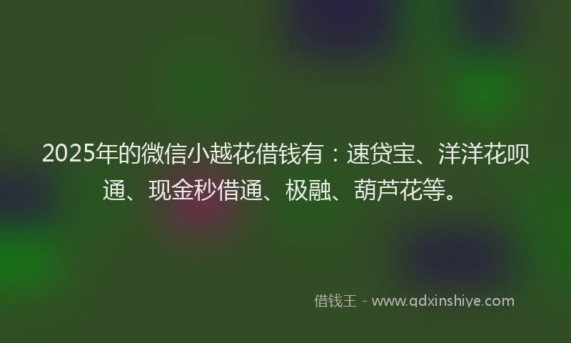 2025年的微信小越花借钱有：速贷宝、洋洋花呗通、现金秒借通、极融、葫芦花等。