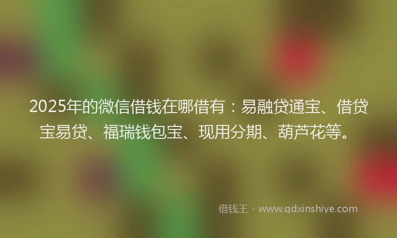 2025年的微信借钱在哪借有：易融贷通宝、借贷宝易贷、福瑞钱包宝、现用分期、葫芦花等。