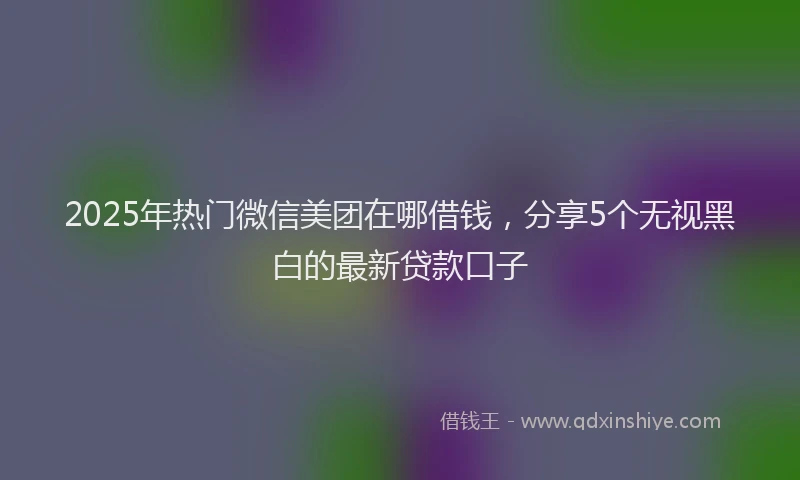 2025年热门微信美团在哪借钱，分享5个无视黑白的最新贷款口子