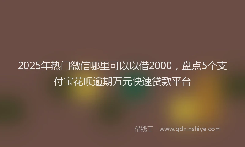 2025年热门微信哪里可以以借2000，盘点5个支付宝花呗逾期万元快速贷款平台
