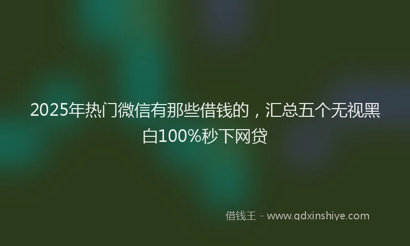 2025年热门微信有那些借钱的，汇总五个无视黑白100%秒下网贷