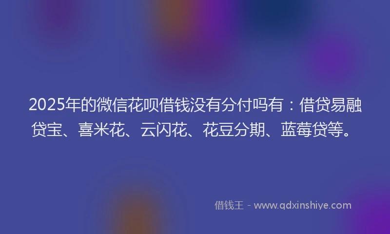 2025年的微信花呗借钱没有分付吗有：借贷易融贷宝、喜米花、云闪花、花豆分期、蓝莓贷等。