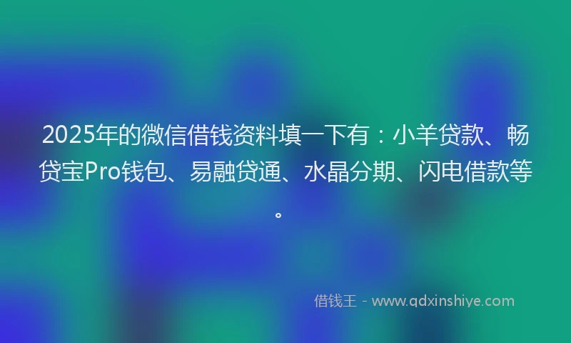 2025年的微信借钱资料填一下有：小羊贷款、畅贷宝Pro钱包、易融贷通、水晶分期、闪电借款等。