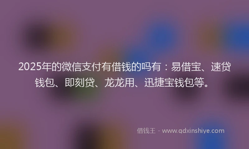 2025年的微信支付有借钱的吗有：易借宝、速贷钱包、即刻贷、龙龙用、迅捷宝钱包等。
