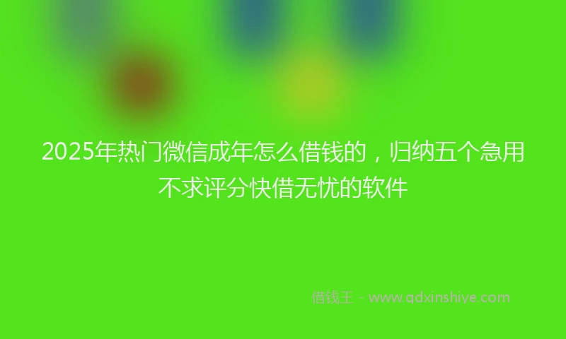 2025年热门微信成年怎么借钱的，归纳五个急用不求评分快借无忧的软件