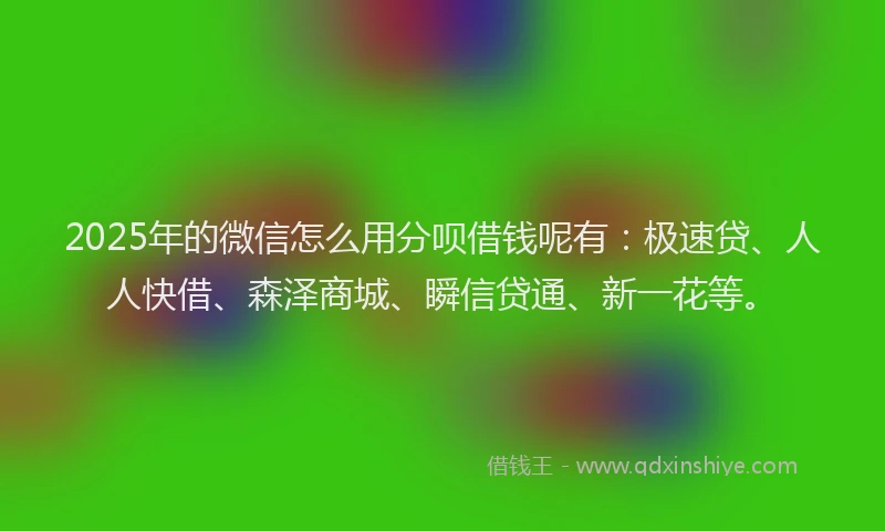 2025年的微信怎么用分呗借钱呢有：极速贷、人人快借、森泽商城、瞬信贷通、新一花等。