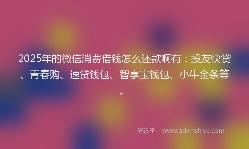 2025年的微信消费借钱怎么还款啊有：投友快贷、青春购、速贷钱包、智享宝钱包、小牛金条等。