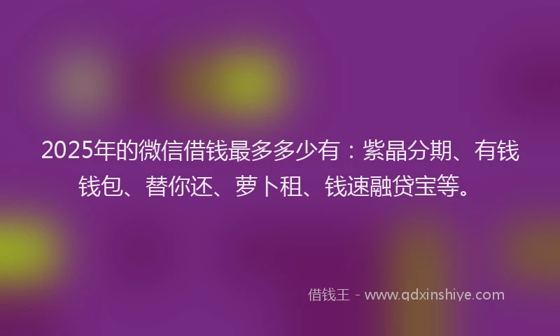 2025年的微信借钱最多多少有：紫晶分期、有钱钱包、替你还、萝卜租、钱速融贷宝等。