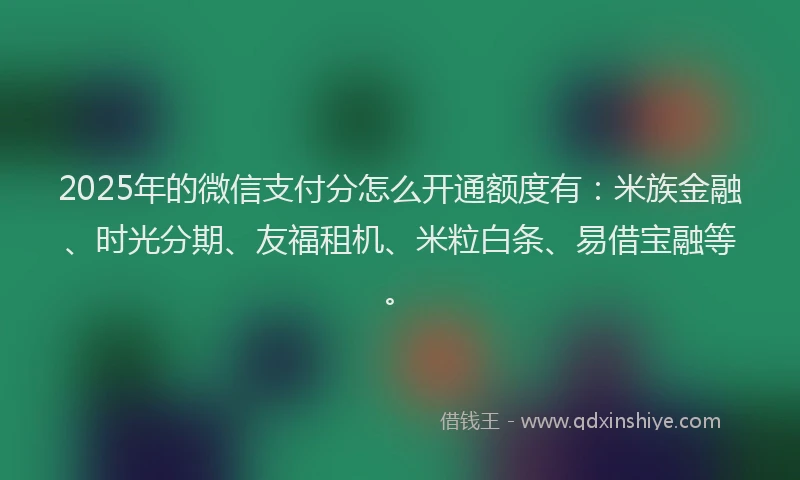 2025年的微信支付分怎么开通额度有：米族金融、时光分期、友福租机、米粒白条、易借宝融等。