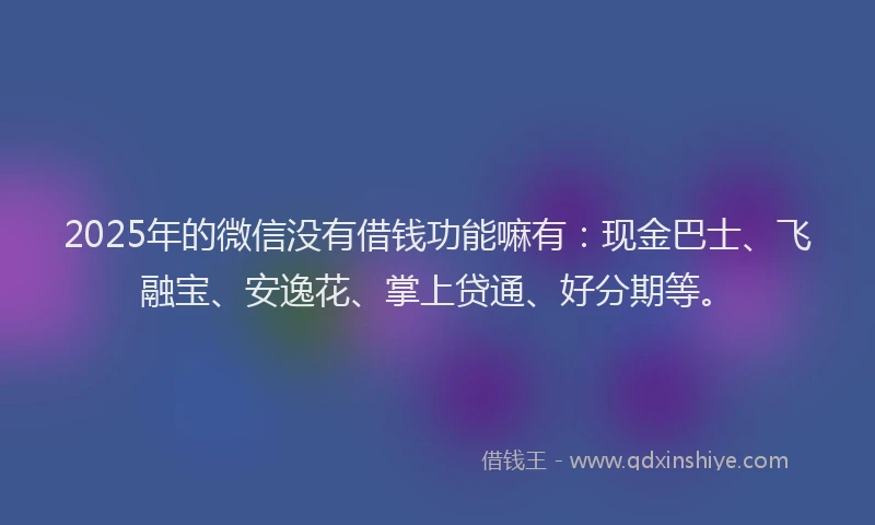 2025年的微信没有借钱功能嘛有：现金巴士、飞融宝、安逸花、掌上贷通、好分期等。