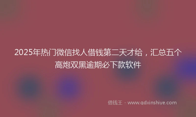 2025年热门微信找人借钱第二天才给，汇总五个高炮双黑逾期必下款软件