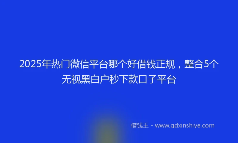 2025年热门微信平台哪个好借钱正规，整合5个无视黑白户秒下款口子平台