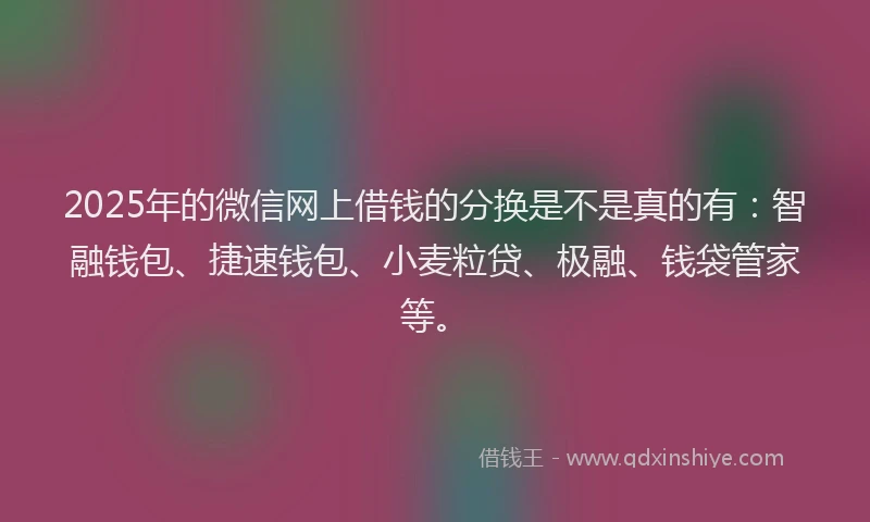 2025年的微信网上借钱的分换是不是真的有：智融钱包、捷速钱包、小麦粒贷、极融、钱袋管家等。