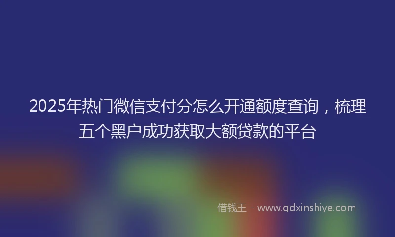 2025年热门微信支付分怎么开通额度查询，梳理五个黑户成功获取大额贷款的平台