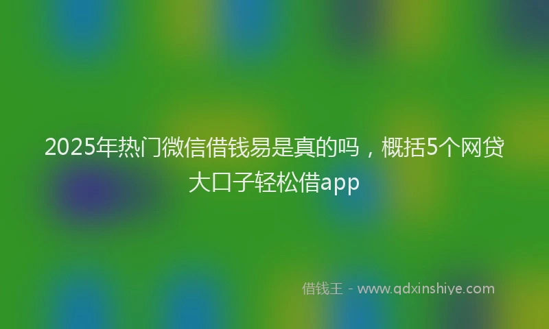 2025年热门微信借钱易是真的吗，概括5个网贷大口子轻松借app