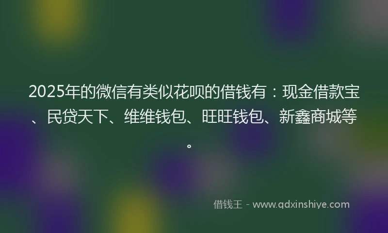 2025年的微信有类似花呗的借钱有：现金借款宝、民贷天下、维维钱包、旺旺钱包、新鑫商城等。