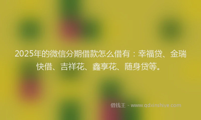 2025年的微信分期借款怎么借有：幸福贷、金瑞快借、吉祥花、鑫享花、随身贷等。