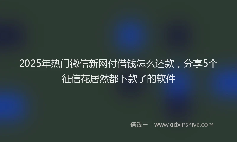2025年热门微信新网付借钱怎么还款，分享5个征信花居然都下款了的软件