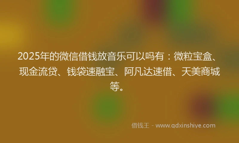 2025年的微信借钱放音乐可以吗有：微粒宝盒、现金流贷、钱袋速融宝、阿凡达速借、天美商城等。