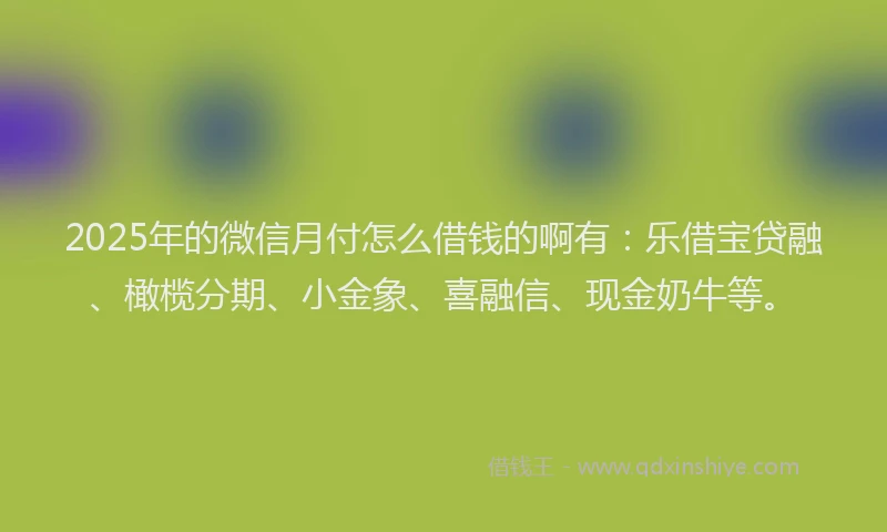 2025年的微信月付怎么借钱的啊有：乐借宝贷融、橄榄分期、小金象、喜融信、现金奶牛等。