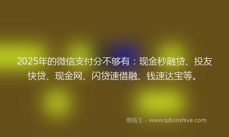 2025年的微信支付分不够有：现金秒融贷、投友快贷、现金网、闪贷速借融、钱速达宝等。