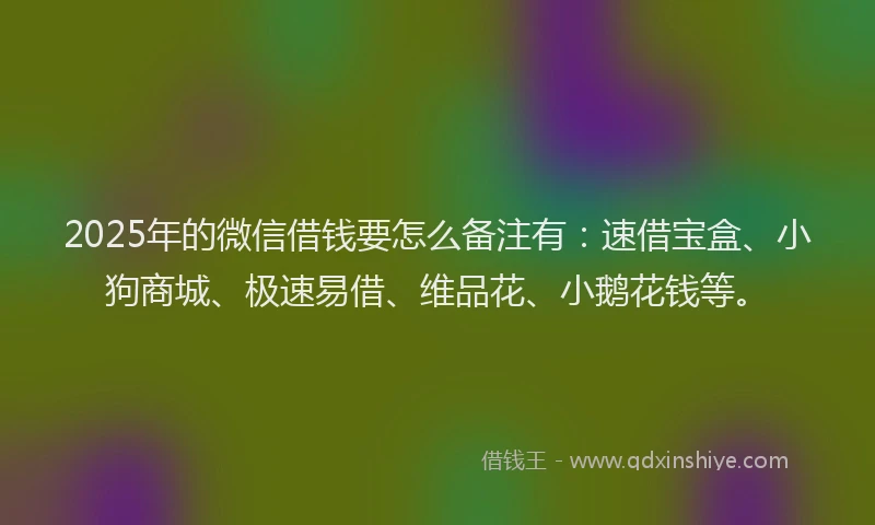 2025年的微信借钱要怎么备注有：速借宝盒、小狗商城、极速易借、维品花、小鹅花钱等。