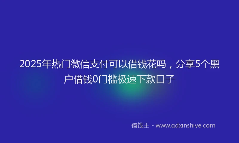 2025年热门微信支付可以借钱花吗，分享5个黑户借钱0门槛极速下款口子