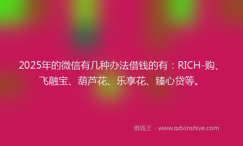 2025年的微信有几种办法借钱的有：RICH-购、飞融宝、葫芦花、乐享花、臻心贷等。