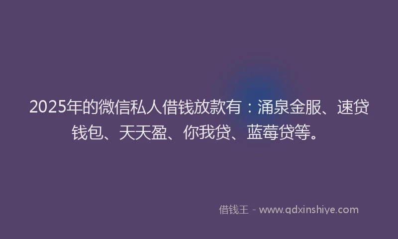 2025年的微信私人借钱放款有：涌泉金服、速贷钱包、天天盈、你我贷、蓝莓贷等。