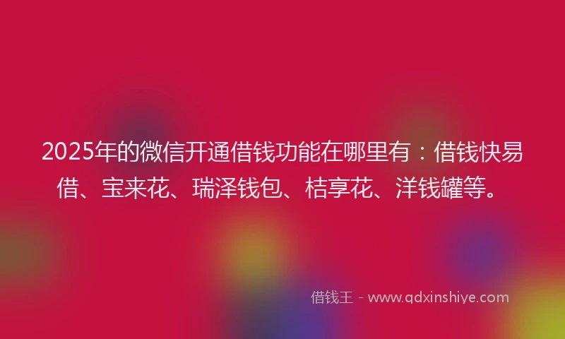 2025年的微信开通借钱功能在哪里有：借钱快易借、宝来花、瑞泽钱包、桔享花、洋钱罐等。