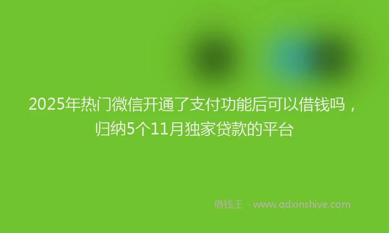 2025年热门微信开通了支付功能后可以借钱吗，归纳5个11月独家贷款的平台