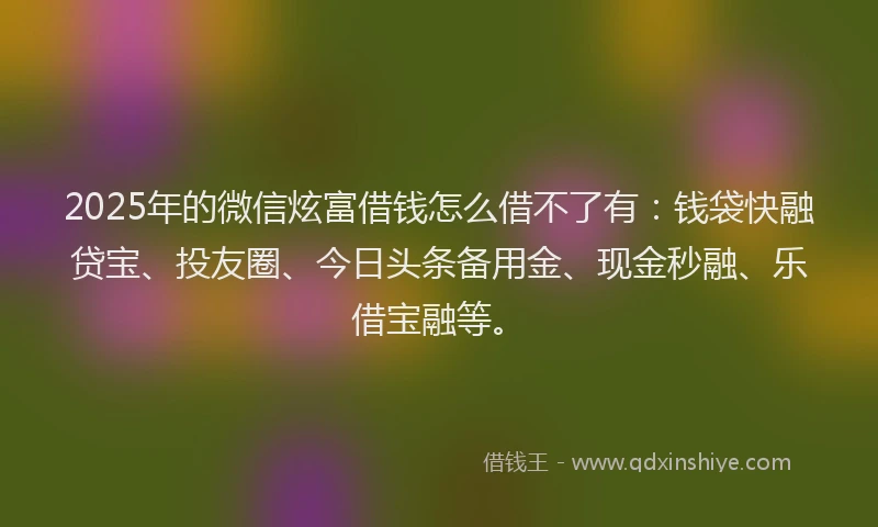 2025年的微信炫富借钱怎么借不了有：钱袋快融贷宝、投友圈、今日头条备用金、现金秒融、乐借宝融等。