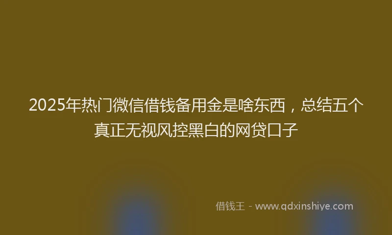 2025年热门微信借钱备用金是啥东西，总结五个真正无视风控黑白的网贷口子