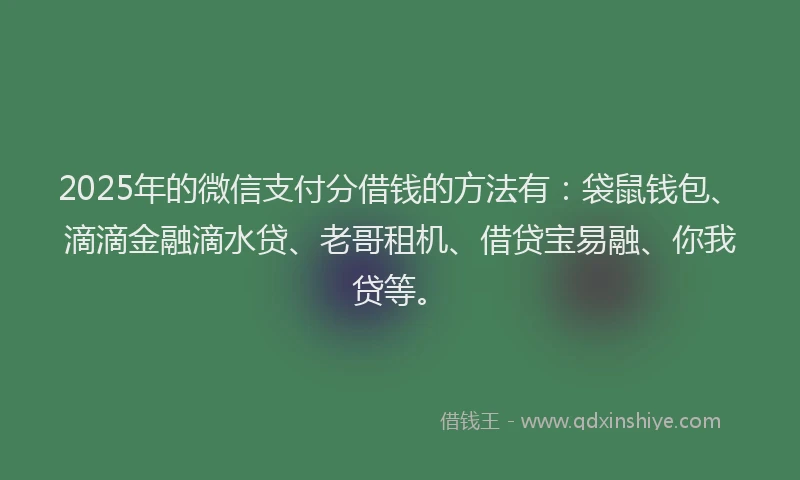 2025年的微信支付分借钱的方法有：袋鼠钱包、滴滴金融滴水贷、老哥租机、借贷宝易融、你我贷等。