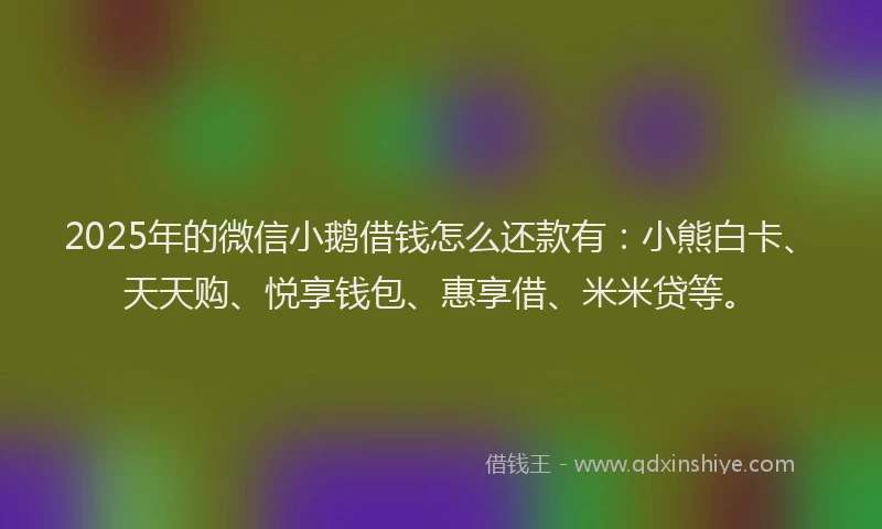 2025年的微信小鹅借钱怎么还款有：小熊白卡、天天购、悦享钱包、惠享借、米米贷等。