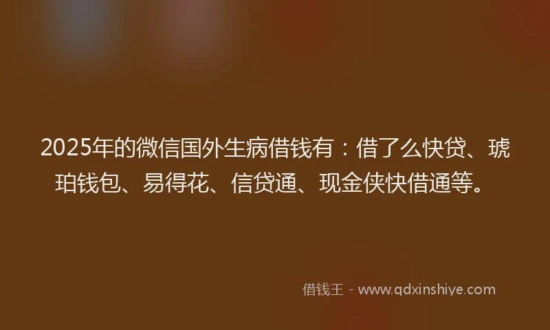 2025年的微信国外生病借钱有：借了么快贷、琥珀钱包、易得花、信贷通、现金侠快借通等。