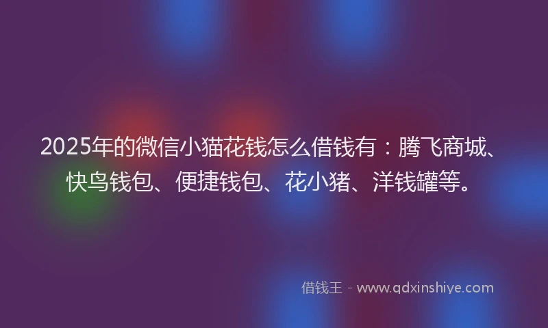 2025年的微信小猫花钱怎么借钱有：腾飞商城、快鸟钱包、便捷钱包、花小猪、洋钱罐等。