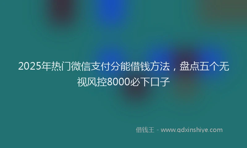 2025年热门微信支付分能借钱方法，盘点五个无视风控8000必下口子