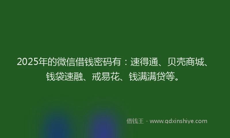 2025年的微信借钱密码有：速得通、贝壳商城、钱袋速融、戒易花、钱满满贷等。