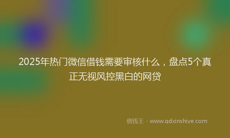 2025年热门微信借钱需要审核什么，盘点5个真正无视风控黑白的网贷