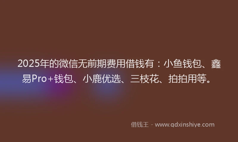 2025年的微信无前期费用借钱有：小鱼钱包、鑫易Pro+钱包、小鹿优选、三枝花、拍拍用等。