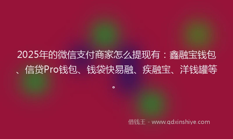 2025年的微信支付商家怎么提现有：鑫融宝钱包、信贷Pro钱包、钱袋快易融、疾融宝、洋钱罐等。