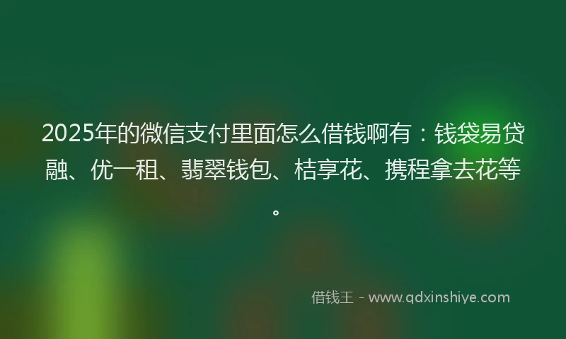 2025年的微信支付里面怎么借钱啊有：钱袋易贷融、优一租、翡翠钱包、桔享花、携程拿去花等。