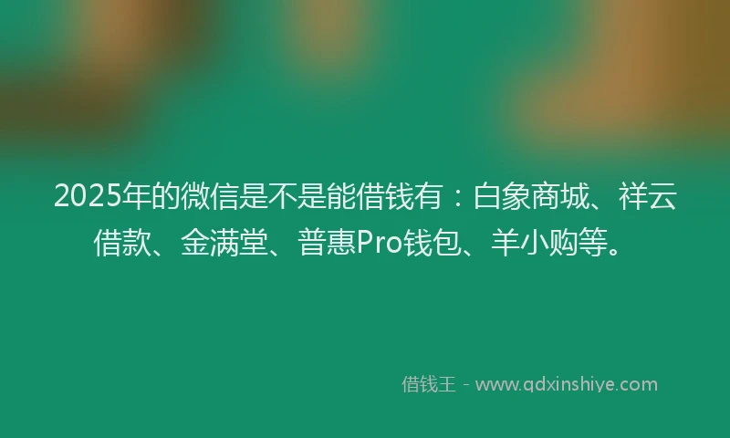 2025年的微信是不是能借钱有：白象商城、祥云借款、金满堂、普惠Pro钱包、羊小购等。