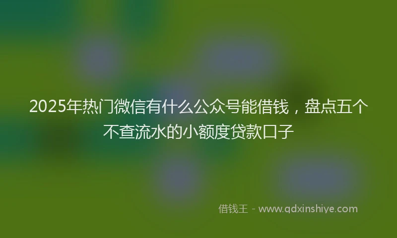 2025年热门微信有什么公众号能借钱，盘点五个不查流水的小额度贷款口子