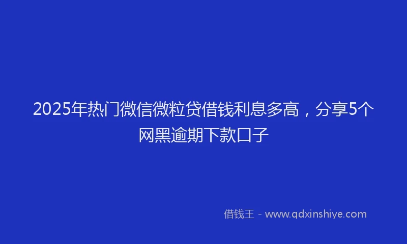 2025年热门微信微粒贷借钱利息多高，分享5个网黑逾期下款口子