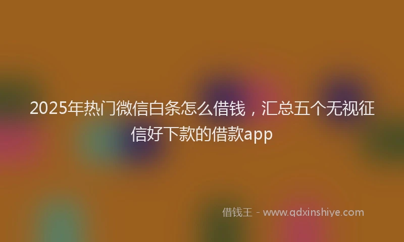 2025年热门微信白条怎么借钱，汇总五个无视征信好下款的借款app