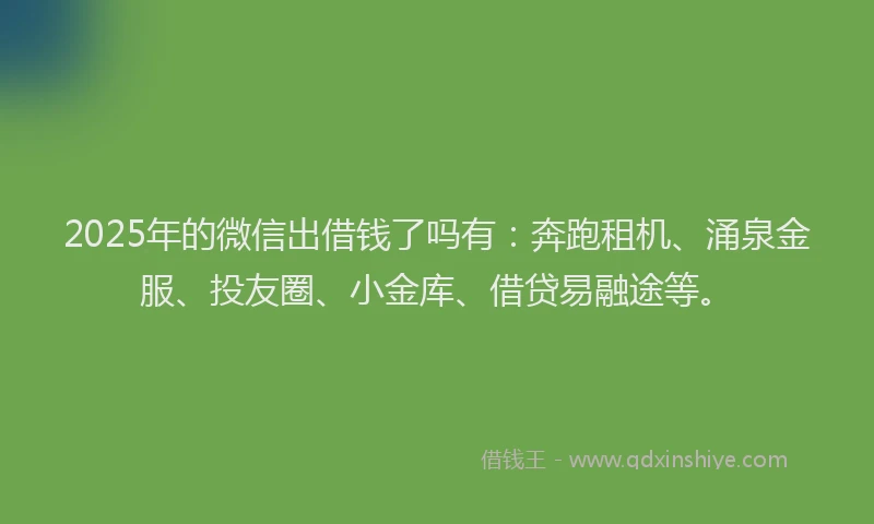 2025年的微信出借钱了吗有：奔跑租机、涌泉金服、投友圈、小金库、借贷易融途等。