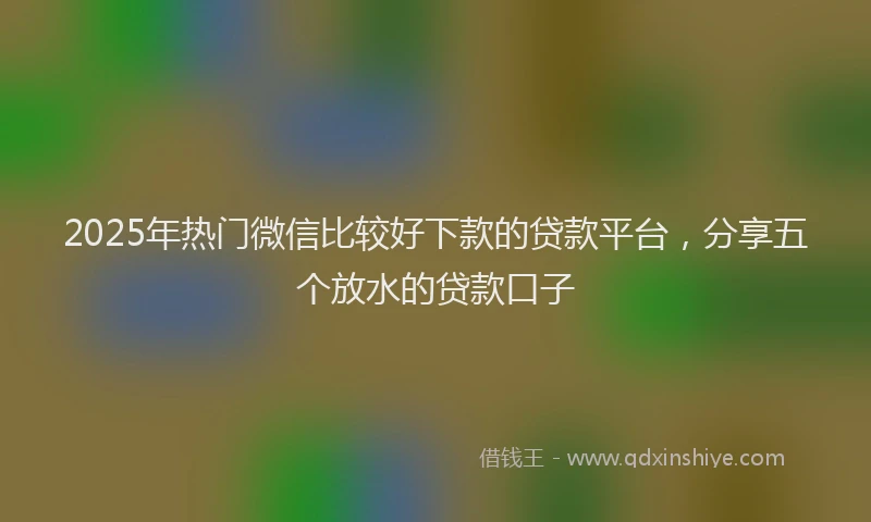 2025年热门微信比较好下款的贷款平台，分享五个放水的贷款口子