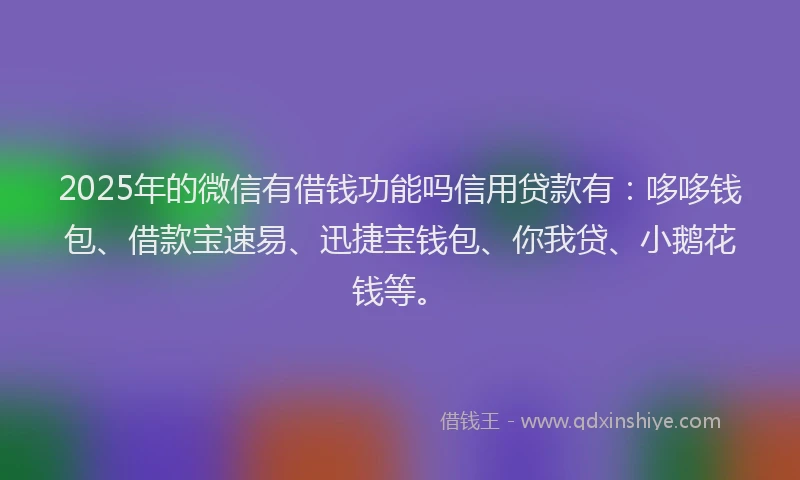 2025年的微信有借钱功能吗信用贷款有：哆哆钱包、借款宝速易、迅捷宝钱包、你我贷、小鹅花钱等。